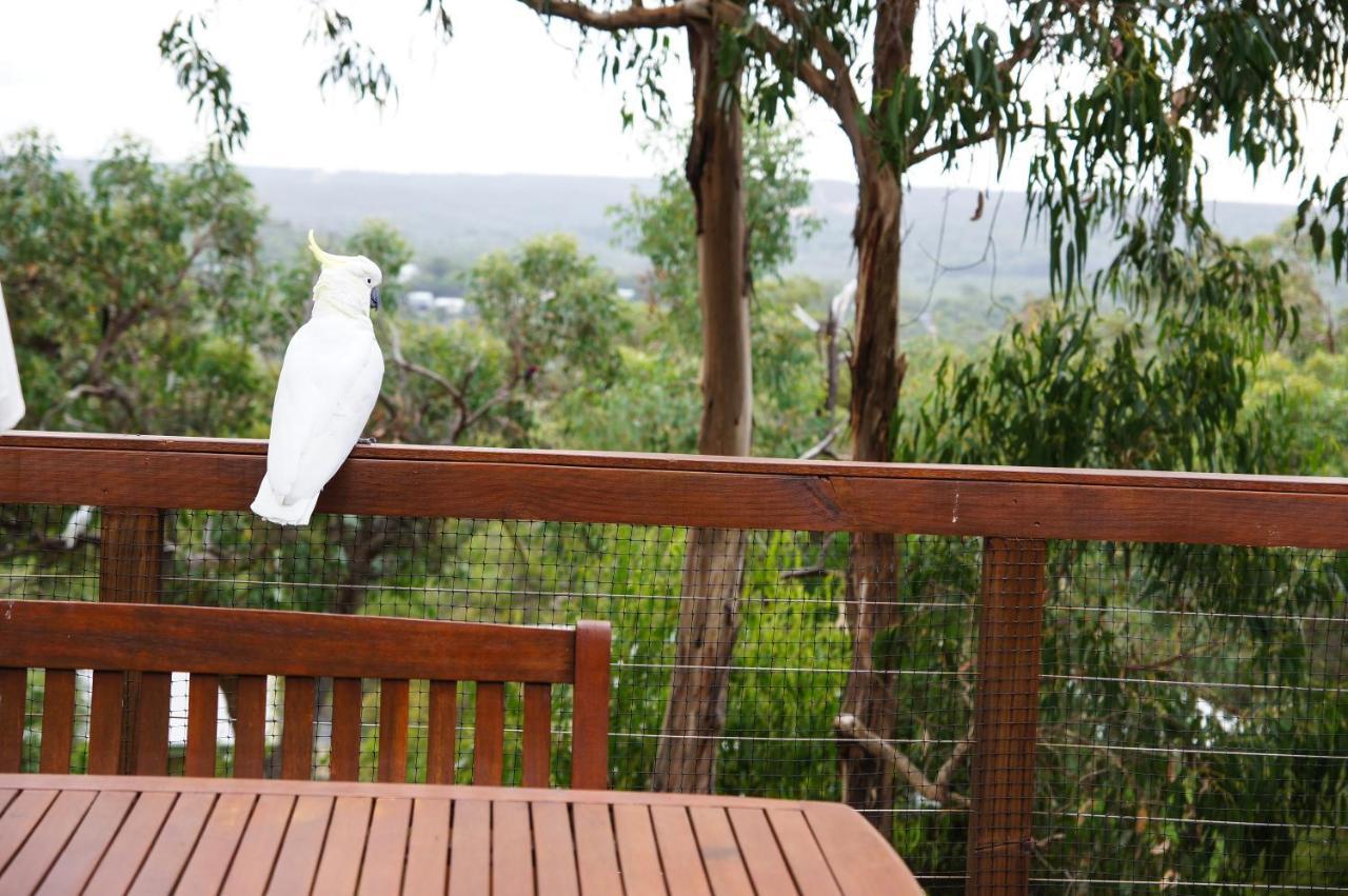 Tree Top Getaway Anglesea Buitenkant foto
