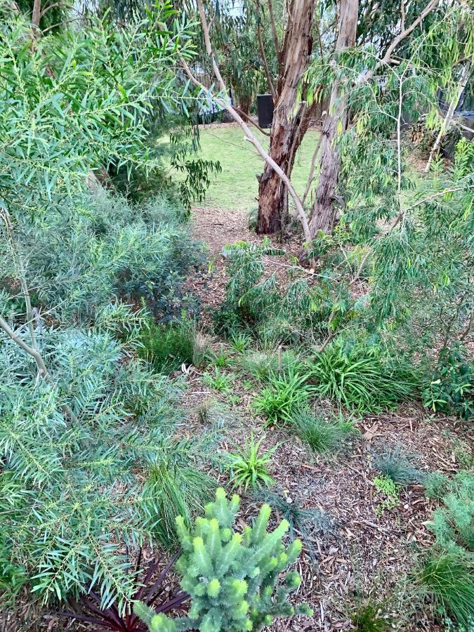 Tree Top Getaway Anglesea Buitenkant foto