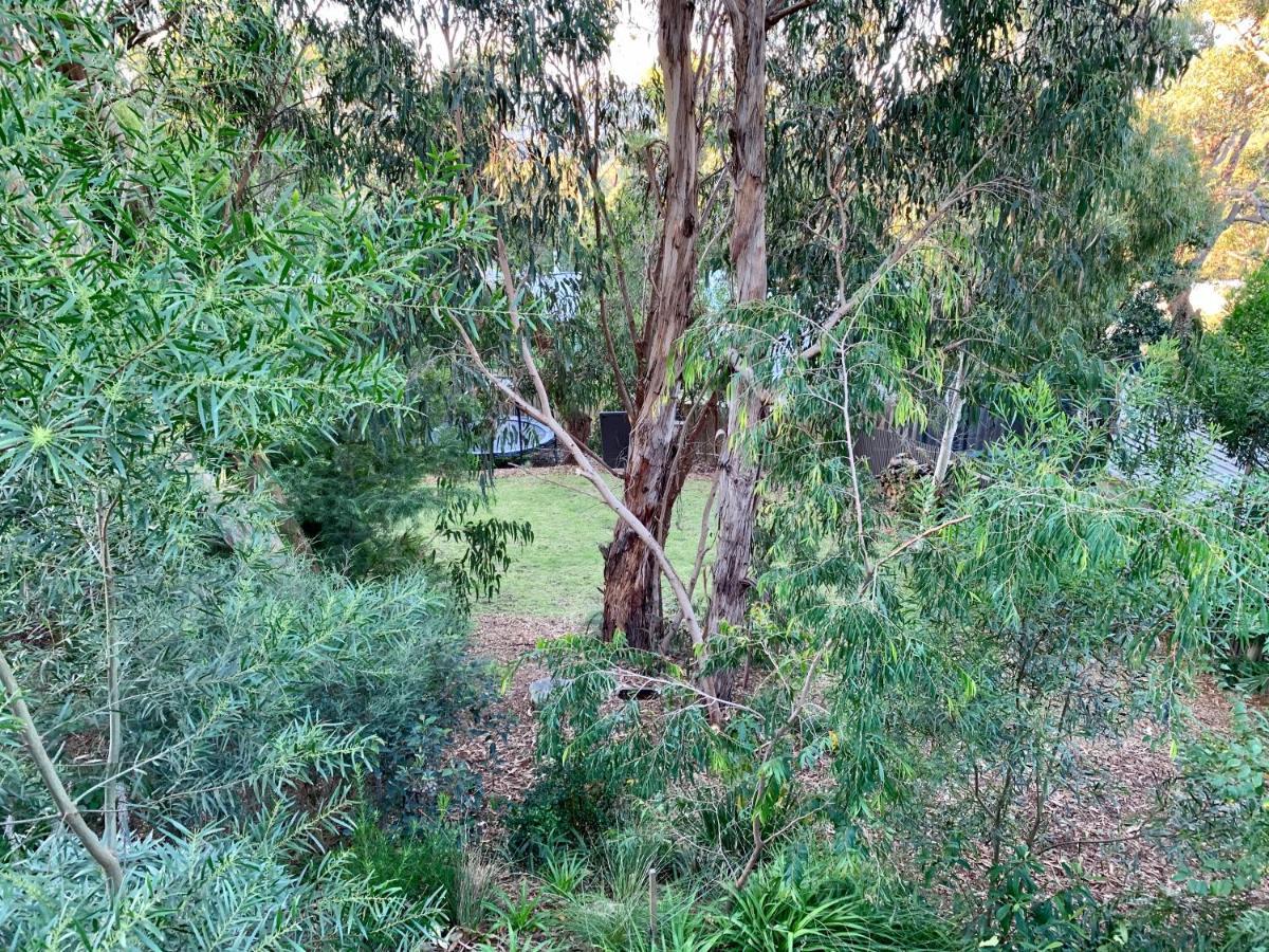 Tree Top Getaway Anglesea Buitenkant foto